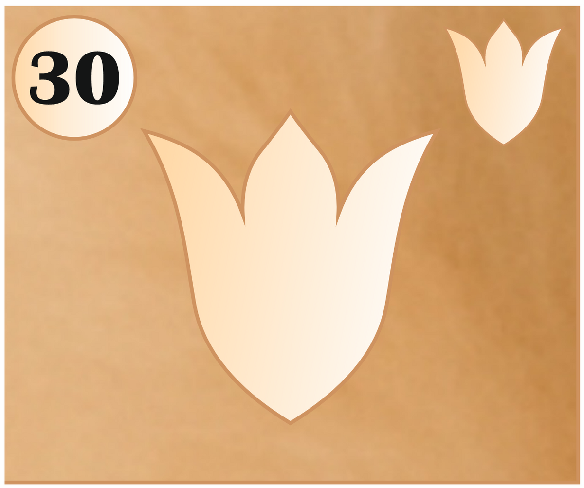 Flexibles Schablonen-Set #3: 30 Boho- & Blumen-Designs, 220 Formen | Wiederverwendbare Schablonen für Mandala, Dot Painting, DIY, Basteln, Zeichnen, Dekor
